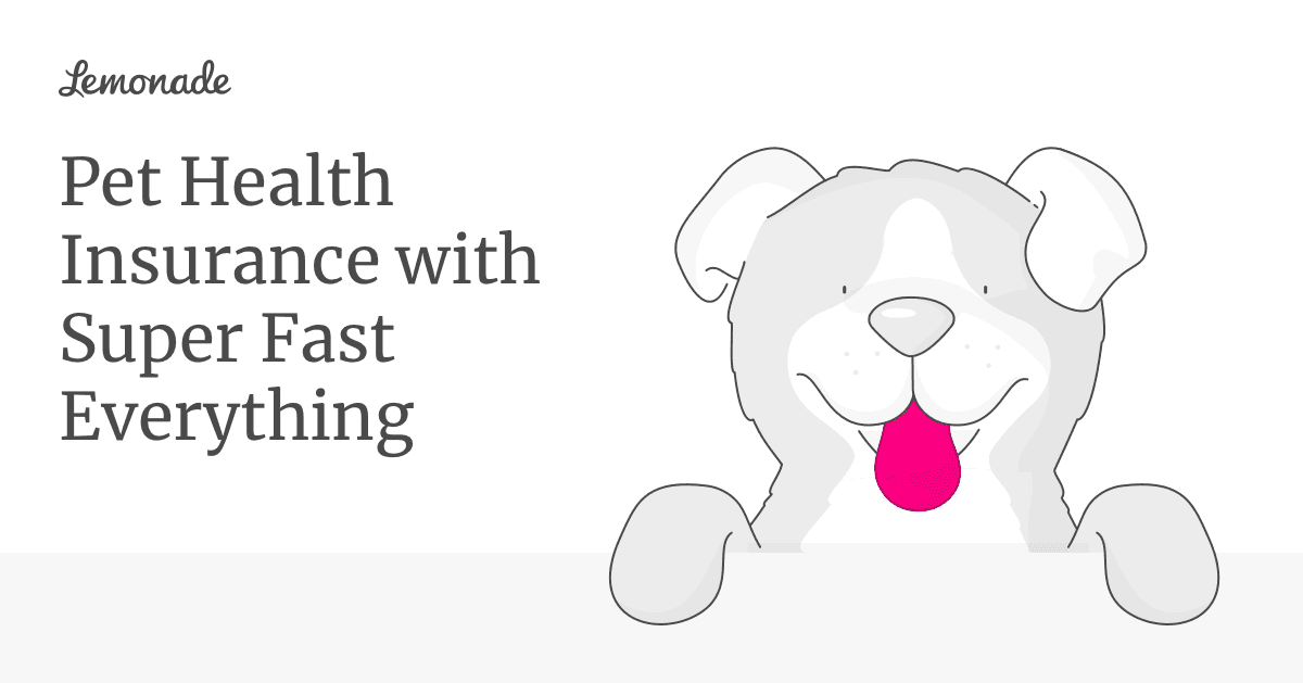 We Analyzed 50+ Pet Insurance Combinations. These 5 Offer the Best Value.
